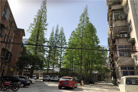 密州大源·紫檀文苑2室1厅1卫99万100m2精装修出售